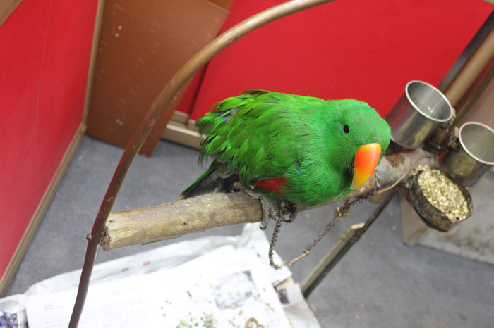 IMG_4789.jpg