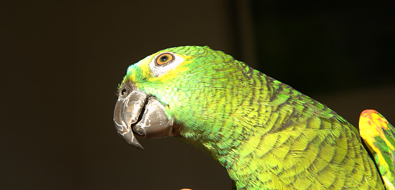 _DSC6501_副本.jpg