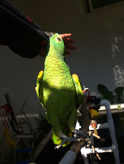 _DSC6540_副本.jpg