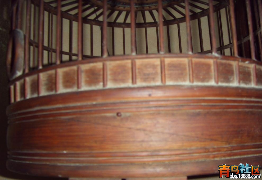SDC10008.JPG