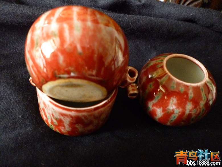 美人醉鸟杯 (1)_副本.jpg