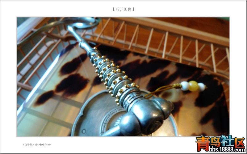 nEO_IMG_L1120847.jpg