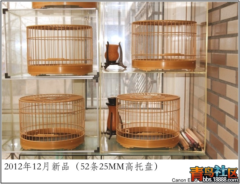 照片 032.jpg