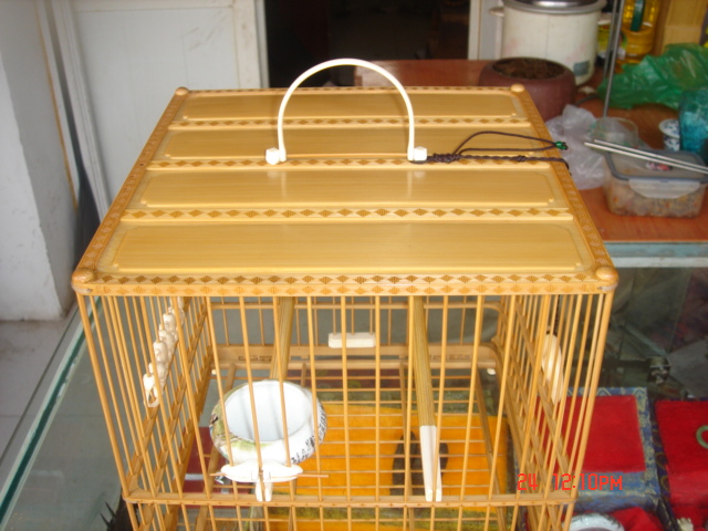 DSC03150.JPG