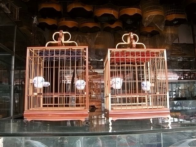 DSCN5392.JPG