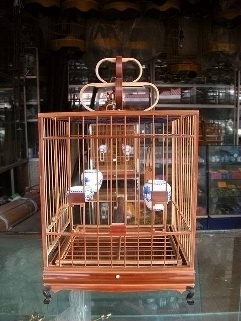 DSCN5396.JPG