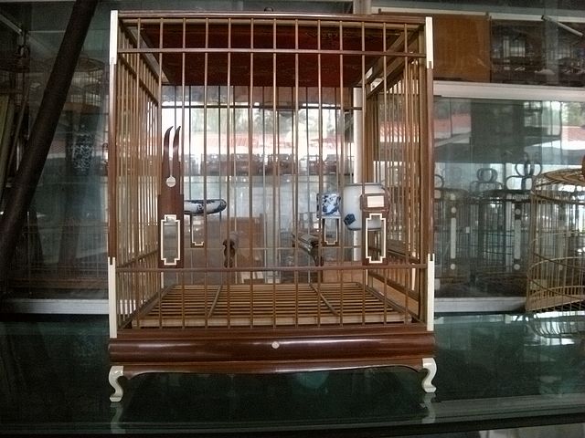 DSCN5391.JPG