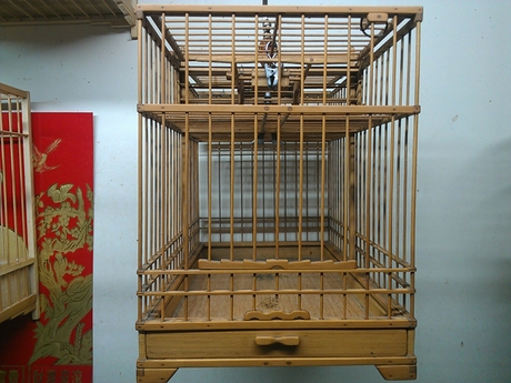 WP_000511.jpg