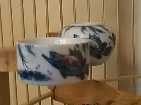WP_000402.jpg