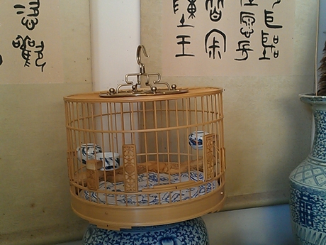 WP_000392.jpg