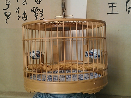 WP_000395.jpg