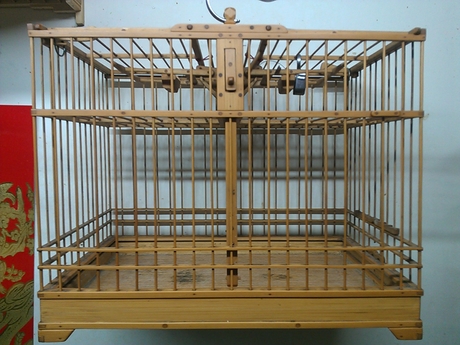 WP_000510.jpg