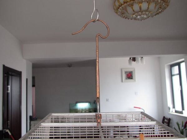 照片 209.jpg