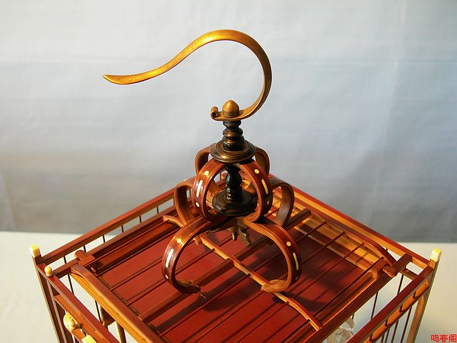 DSCN9141.jpg
