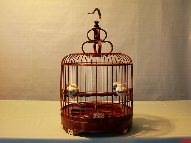 DSCN9281.jpg
