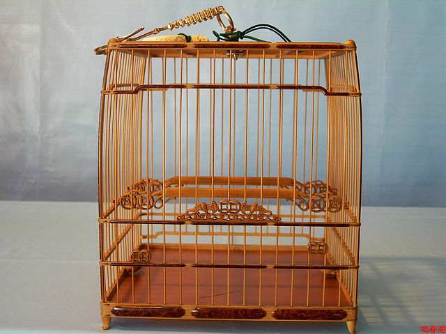 DSCN9388.jpg