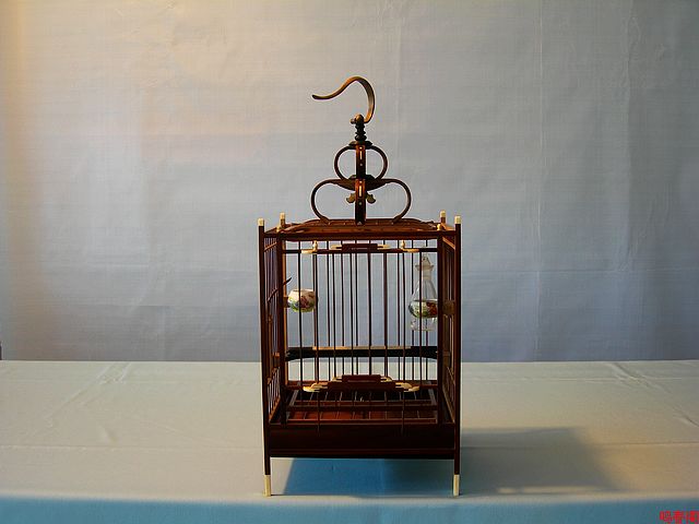 DSCN9123.jpg