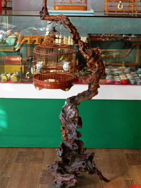 DSCN9413.jpg