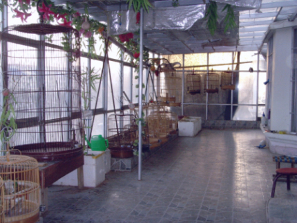 SNV30003.jpg