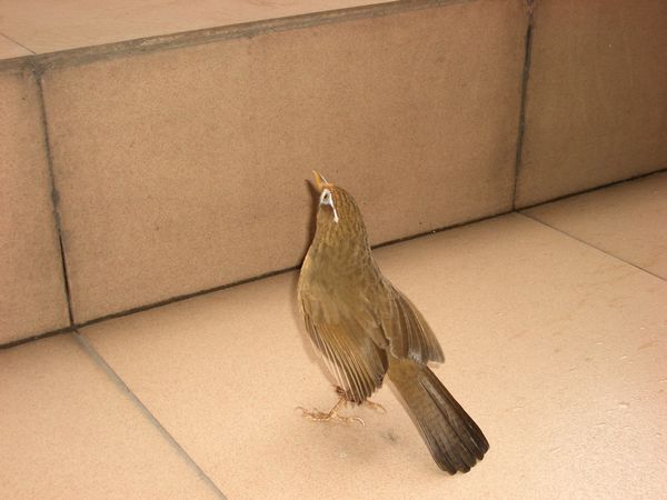 CIMG2574.JPG