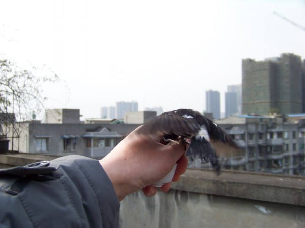 conew_100_1162.jpg