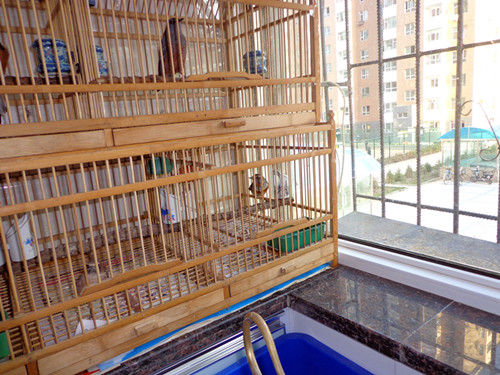 DSC00170_副本.jpg