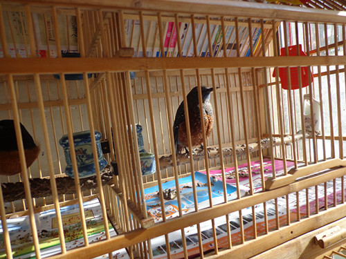 DSC00260_副本.jpg