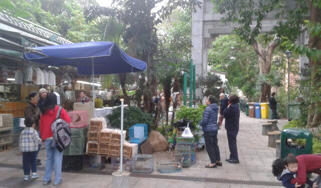 2012-12-02 13.58.16-1.jpg