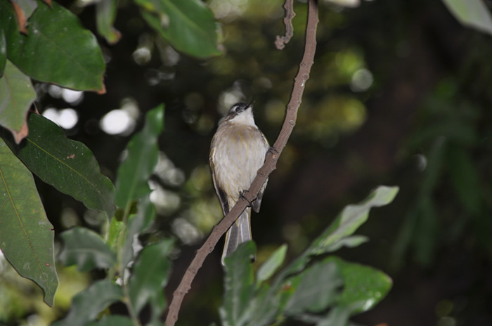 DSC_7565_副本.jpg