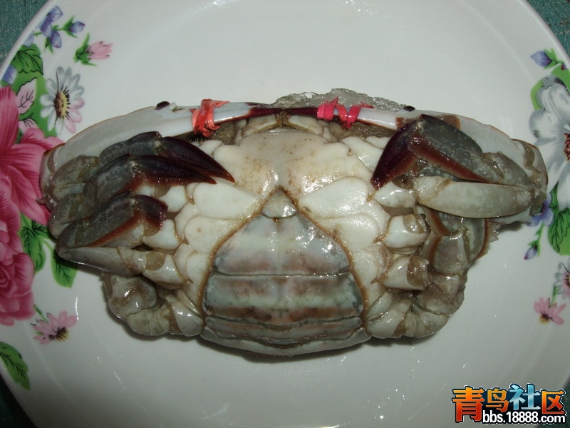 DSCF3952.jpg