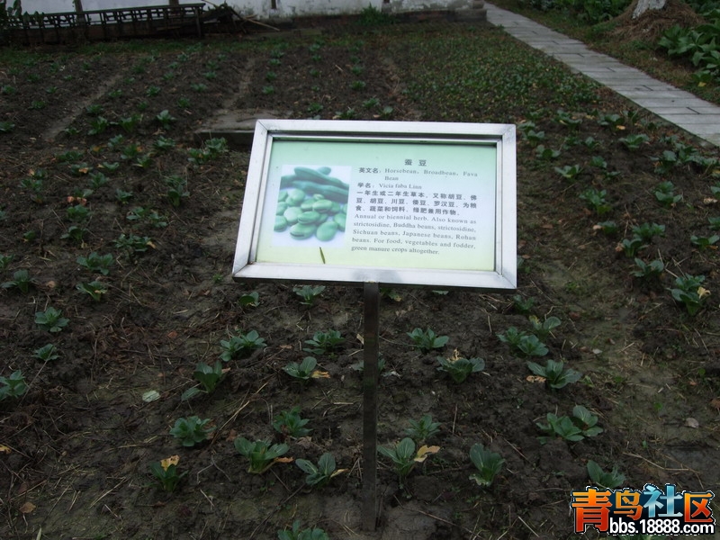 DSCF4265.jpg