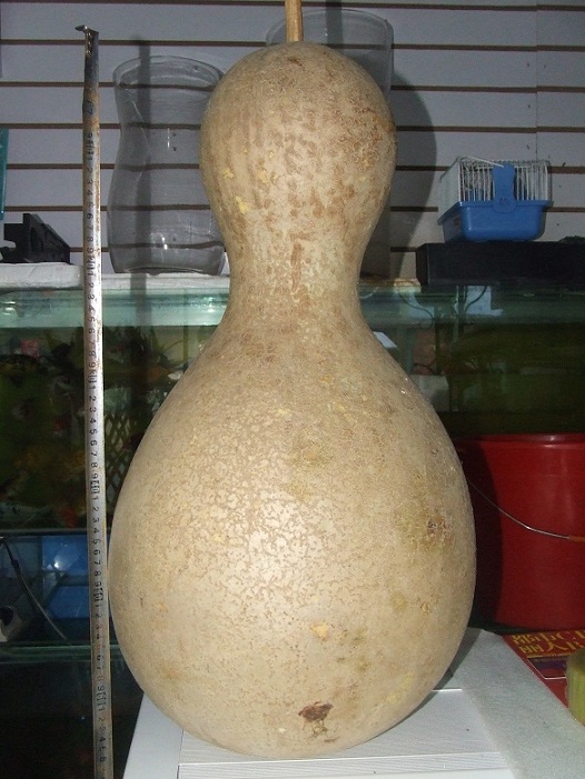 DSCF7417.JPG