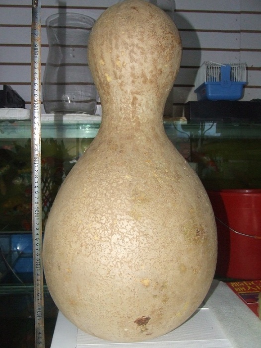 DSCF7416.JPG