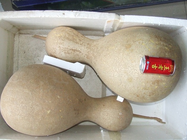 DSCF7420.JPG