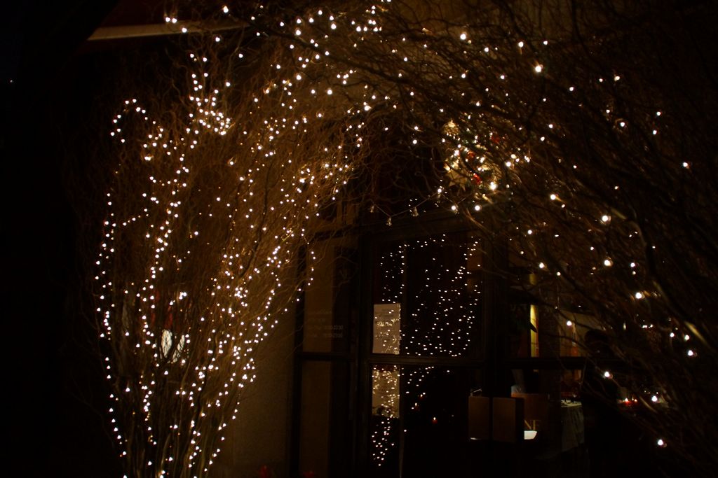 DSC03869.JPG