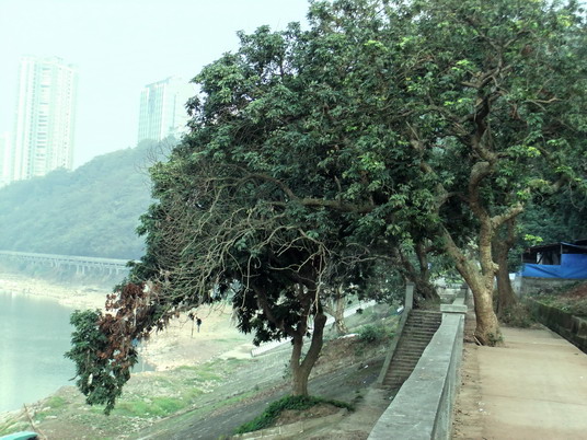 DSCF3903_调整大小.jpg