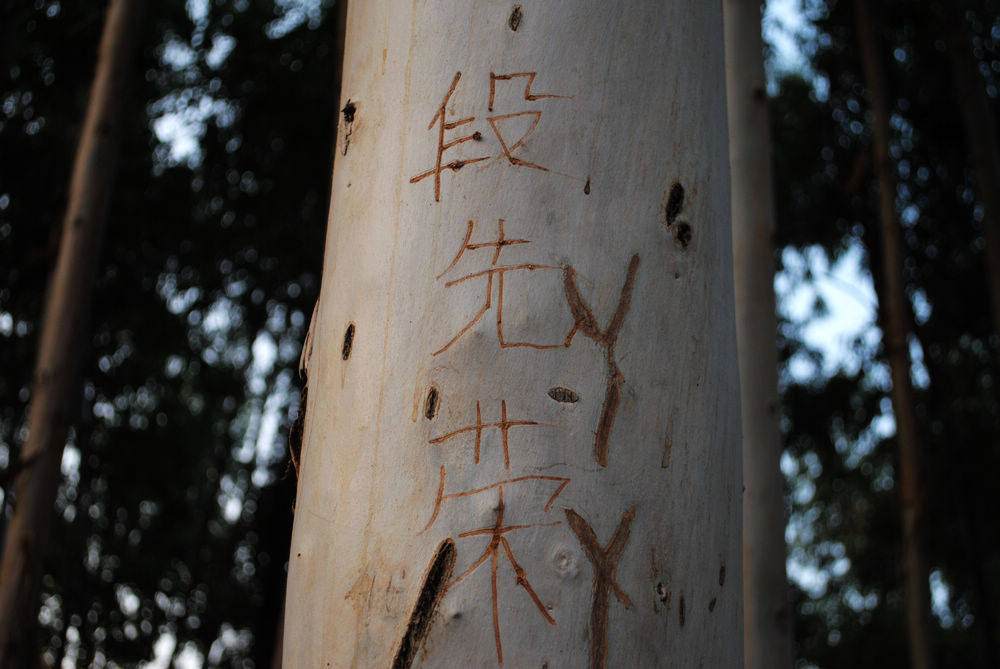 DSC_2043.jpg