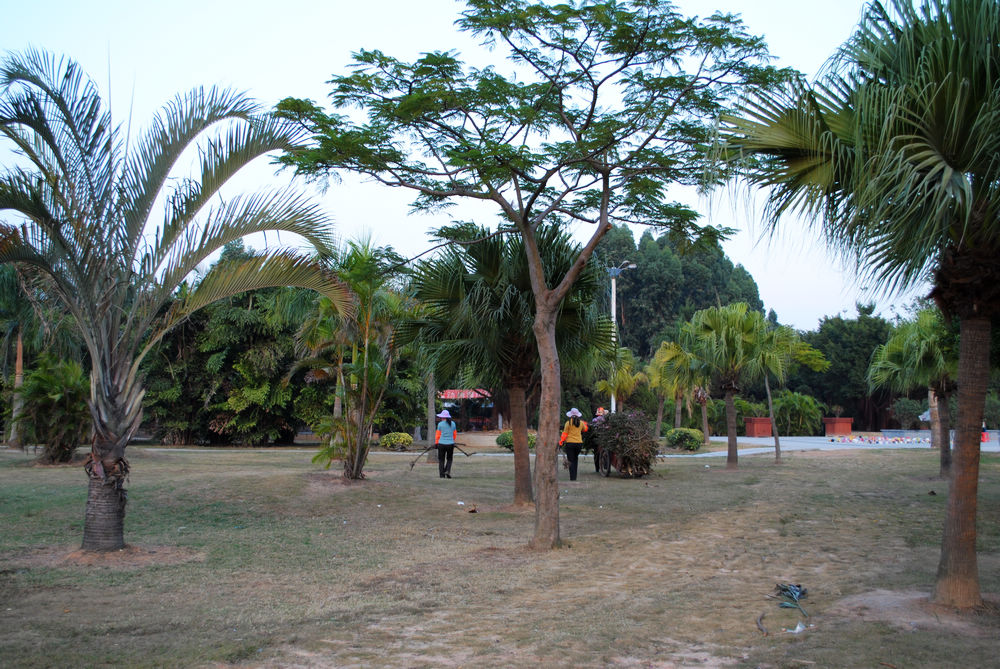 DSC_2049.jpg
