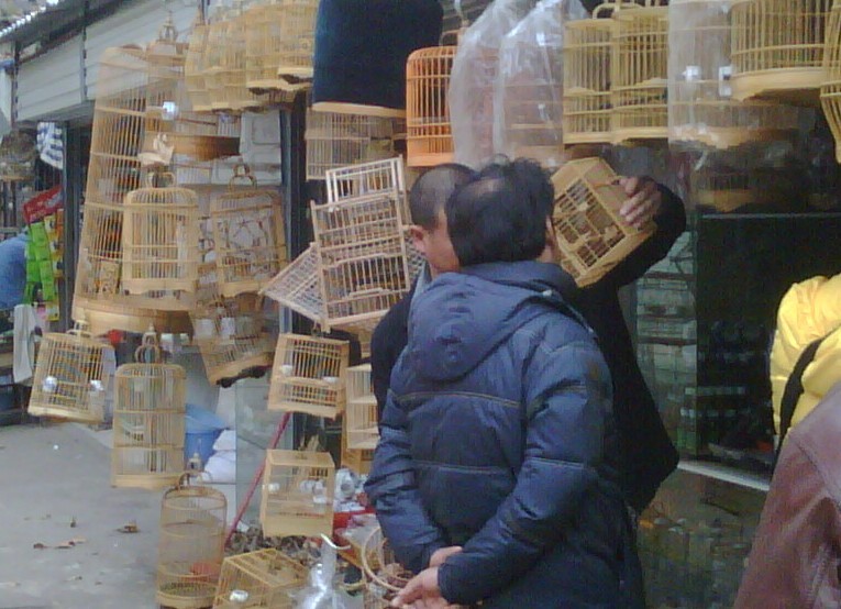 看个.jpg