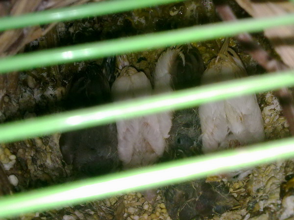 20121204783.jpg