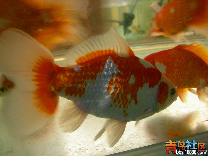 复件 SANY0023_副本.jpg