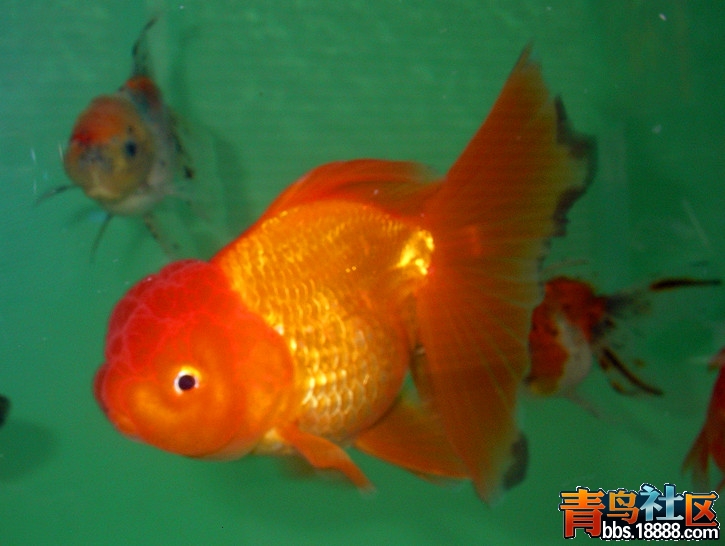 SANY0163_副本.jpg