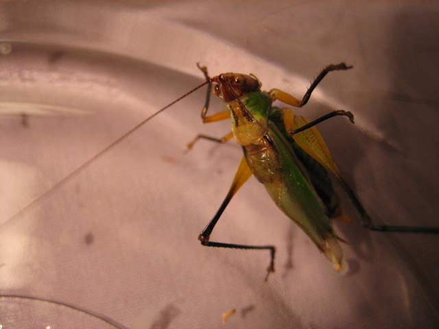 IMG_2514.jpg