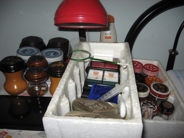 IMG_3380.JPG