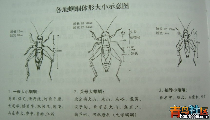 EM027{]NYI)_5RAAEAE[V50.jpg