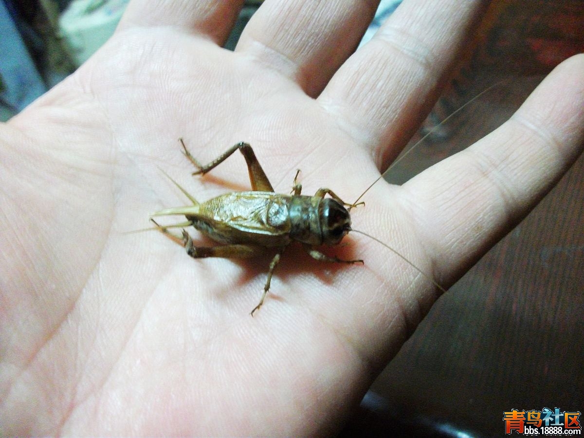 DSCF2568.jpg