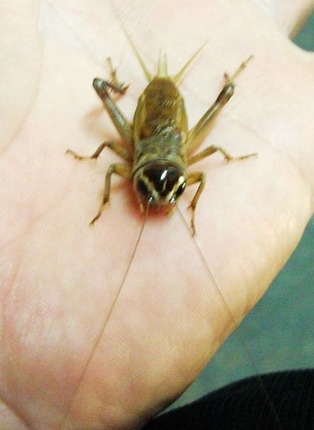 DSCF2546.jpg