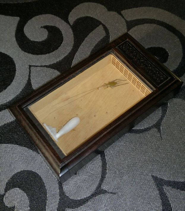 201211243274.jpg