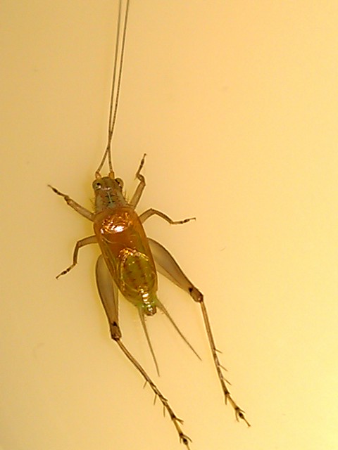 291_2012121015460600_IMAG0832.jpg