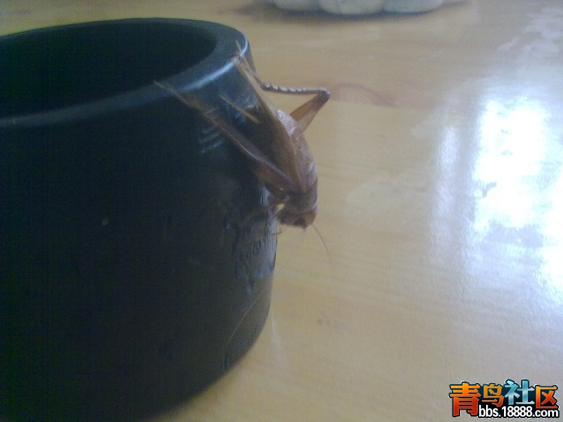 20121226366.jpg